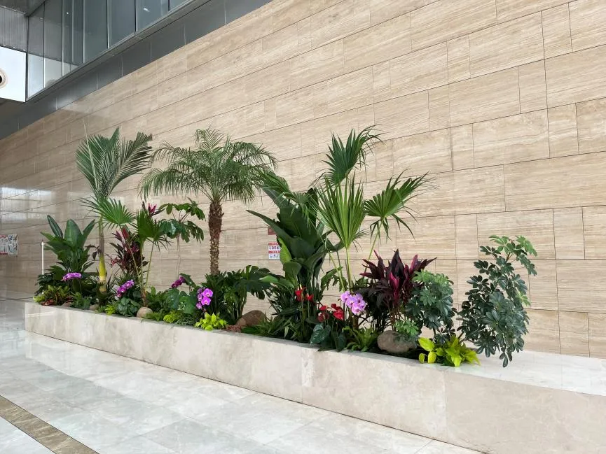 探寻海曙花木出租设计，开启别样景观之旅